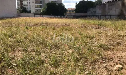 Terreno comercial para alugar na Rua Clélia, --, Água Branca, São Paulo, 1625 m2 por R$ 50.000
