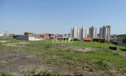 Terreno comercial para alugar na Rua Januário Cicco, --, Vila Nova Pauliceia, São Paulo, 5000 m2 por R$ 40.000
