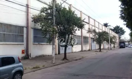 Barracão / Galpão / Depósito para alugar na Avenida Cardeal Santiago Luiz Copello, --, Vila Ribeiro de Barros, São Paulo, 9507 m2 por R$ 285.000