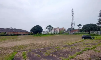 Terreno comercial para alugar na Rua Alexandre Aliperti, --, Vila Água Funda, São Paulo, 5000 m2 por R$ 50.000