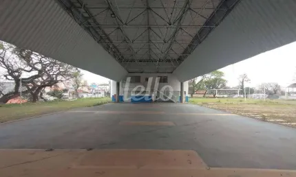 Terreno comercial para alugar na Rua Alexandre Aliperti, --, Vila Água Funda, São Paulo, 9967 m2 por R$ 135.000