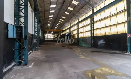 Barracão / Galpão / Depósito para alugar na Avenida Celso Garcia, --, Tatuapé, São Paulo, 1500 m2 por R$ 45.000