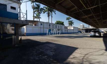 Barracão / Galpão / Depósito para alugar na Avenida Cardeal Santiago Luiz Copello, --, Vila Ribeiro de Barros, São Paulo, 6210 m2 por R$ 130.000