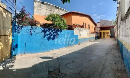 Terreno comercial para alugar na rua andré campale, --, parada inglesa, são paulo, 156 m2 por r$ 3.500