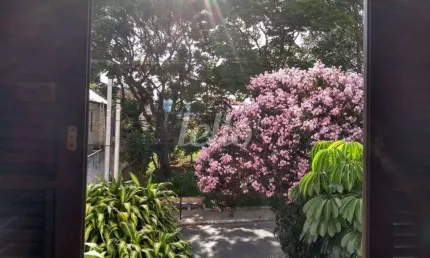Casa com 2 quartos à venda na Rua Vênus, 1, Vila Formosa, São Paulo, 167 m2 por R$ 800.000