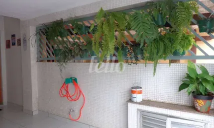 Casa com 2 quartos à venda na Rua Alberto Luchetti, 16, Vila Gomes Cardim, São Paulo, 100 m2 por R$ 848.000