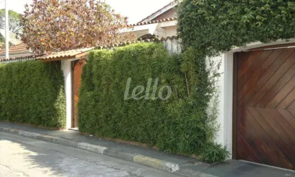 Casa com 6 quartos à venda na rua icamaquã, 107, vila albertina, são paulo, 290 m2 por r$ 1.200.000