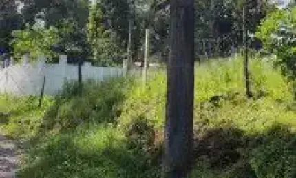 Terreno localizado no  bairro Jardim Coronel, em Itanhaém - lado serra em rua de terra.