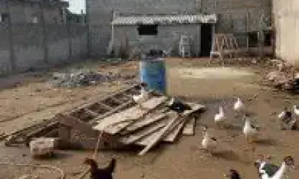 Terreno localizado no bairro são joão, em itanhaém - lado praia em rua de terra.