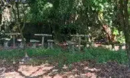Terreno de chácara no jardim coronel, em itanhaém - sendo lado serra, em rua de terra.