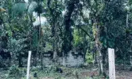 Terreno de chácara no bairro Chácara Palmeiras, em Itanhaém - sendo lado serra, em rua de terra.