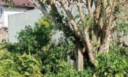 Terreno localizado no bairro Jardim das Palmeiras - lado praia.