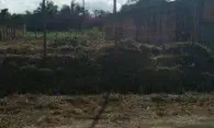 Terreno localizado no bairro Estância dos Eucaliptos, em Peruíbe - lado praia, murado e cercado.