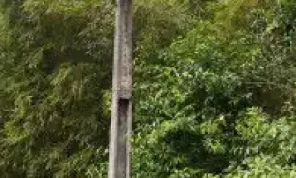 Terreno à venda no Jardim Coronel, Itanhaém 