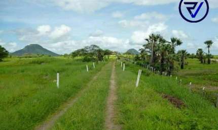 Chácara / sítio com 5 quartos à venda na Br 222 Km 25, 25, Centro, Caucaia por R$ 6.000.000