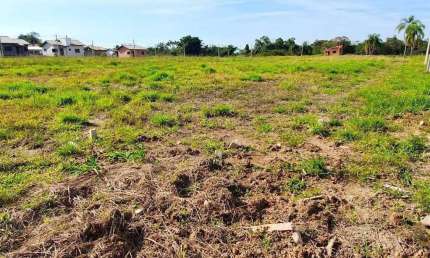 Terreno à venda em Santa Cruz, Forquilhinha 