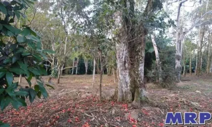 Terreno tipo Chácara em Ubatuba, com 4.000m², em bairro residencial, próximo a praia da maranduba e as lindas cachoeiras do Sertão da Quina.