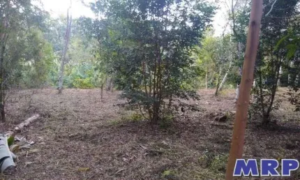 Chácara à venda em Ubatuba, com 4.000m², Sertão da Quina.