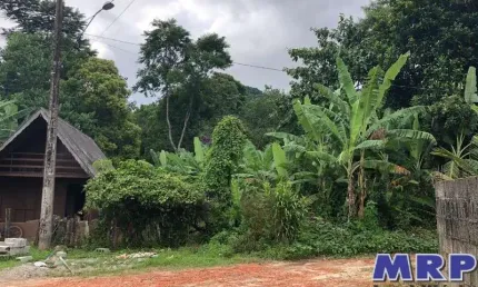 Chacará em Ubatuba, com natureza exuberante, a 1km da praia do Sapê, bairro residencial.