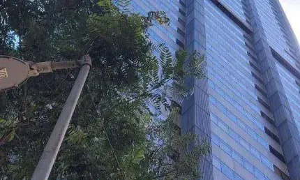 Sala para alugar, 1183 m² por R$ 111.484,70/mês - Centro - Rio de Janeiro/RJ