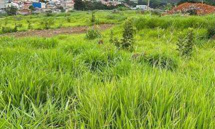 Terreno em Vila Cristo Redentor  -  Várzea Paulista