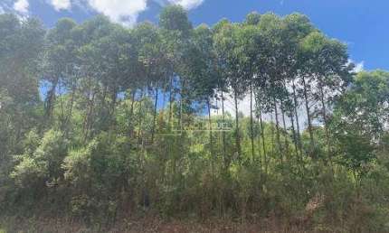 Terreno, à venda em Santa Maria do Herval, Vila Seger