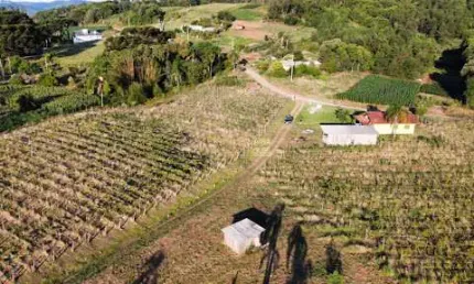 Excelente sítio a venda na cidade de Santa Maria do Herval - RS 