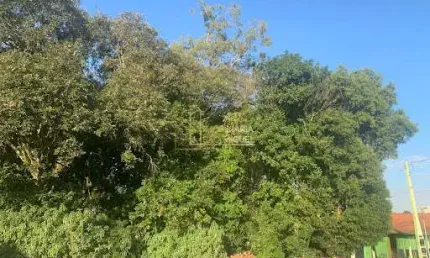 Terreno, 1195.42m², à venda em dois irmãos, primavera