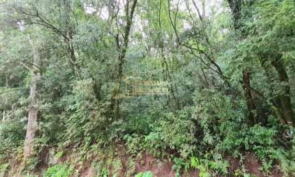 Terreno, 1.608,75m², à venda em Dois Irmãos, Portal da serra