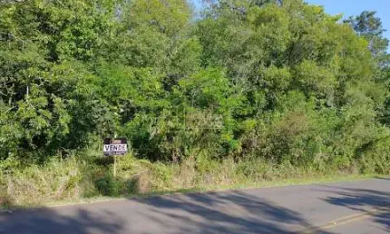 Área, 1.9ha, à venda em Dois Irmãos, Loteamento Jardim Bonamigo