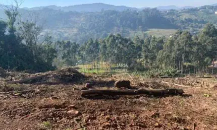 Área, 8900.1m², à venda em Dois Irmãos, Vale Esquerdo
