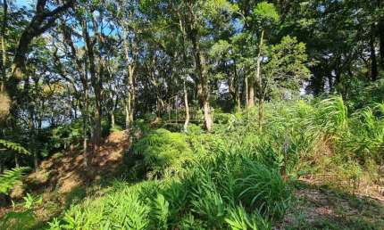 Área de Terras á Venda em São José do Herval, Morro Reuter/RS