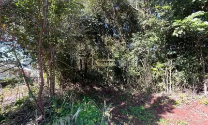 Terreno à Venda no Bairro Vale Esquerdo – Dois Irmãos/RS