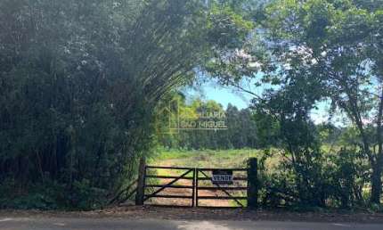 Chácara, 15 hectares, à venda em Sapiranga, Picada dos Nabos