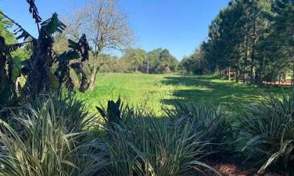 AREA DE TERRAS À VENDA – COM AÇUDE E 7.734,50 m²| OPORTUNIDADE ÚNICA