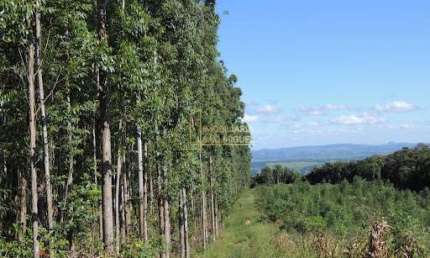 Chácara / sítio à venda na Sapiranga, São Jacó, Sapiranga