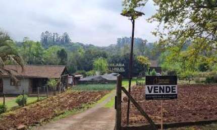 Chácara / sítio com 2 quartos à venda na Travessão, Travessão, Dois Irmãos