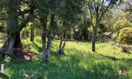 Terreno à venda na Estrada São José Do Herval, Centro, Morro Reuter