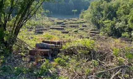 Terreno à venda na Avenida Sapiranga, Industrial, Dois Irmãos