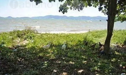 Terreno à venda, 430 m² por R$ 954.000,00 - Barreiros - São José/SC
