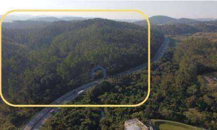 Área à venda, 305000 m² por R$ 91.500.000 - Jaguará - São Paulo/SP