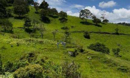 Área à venda, 193600 m² por R$ 1.500.000,00 - Bairro do Paiol Velho - São Bento do Sapucaí/SP