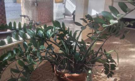 Vendo Casa independente,  Centro Miguel Couto, Nova Iguaçu/RJ.