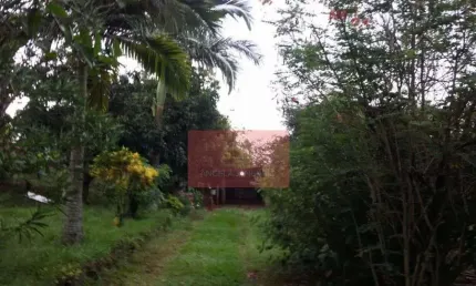 Chácara / sítio com 1 quarto à venda na Rua Cambará, 86200-000, Centro, Londrina