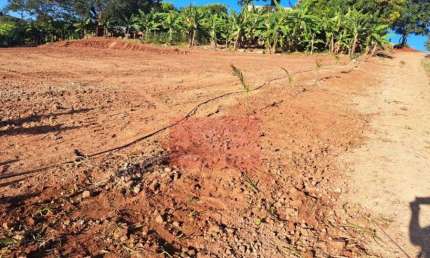 Chácara / sítio com 1 quarto à venda na Não Informado, 1, Área Rural de Apucarana, Apucarana