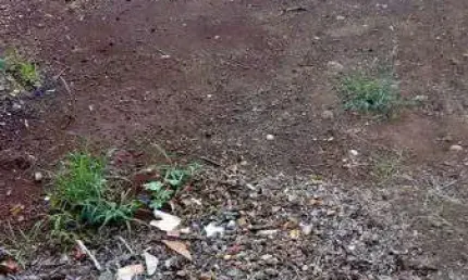 Terreno à venda na Rua Mitsuko Kikuta, 500, Colinas, Londrina