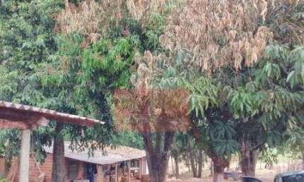 Chácara / sítio com 1 quarto à venda na Estrada Km11, km11, Zona Rural, Alvorada do Sul