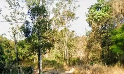 Terreno à venda, 115000 m² por r$ 5.300.000,00 - vila partenio - mogi das cruzes/sp