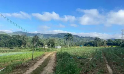 Terreno à venda no Parque Santa Rosa, Suzano 