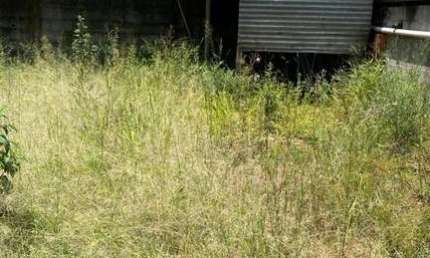 Terreno comercial para alugar na Rua Copo de Leite, 100, Jardim Flórida, Barueri